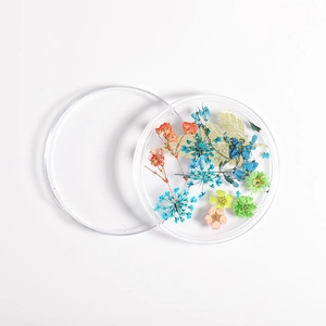 Mixed dried natural flowers in round container for Japanese nail art decoration