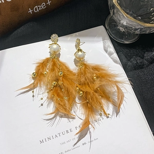 Detailed view of feather tassel earrings with pearls and crystals on magazine background