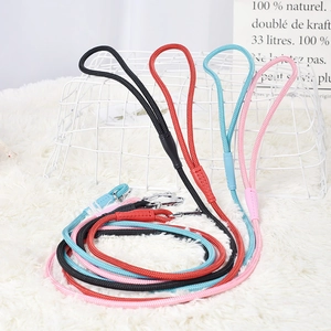 Laisse pour chien en nylon réfléchissant, couleurs variées avec boucle métallique robuste