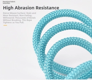 Détail de la laisse réfléchissante bleue montrant le tissage dense et durable