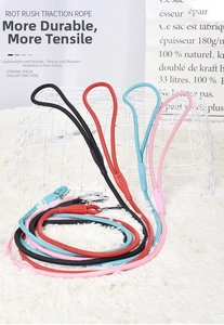 Laisses pour chien en nylon tressé avec clips métalliques en quatre couleurs vives