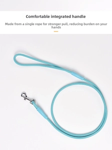Détail de la laisse réfléchissante en nylon pour chien avec poignée ergonomique et mousqueton