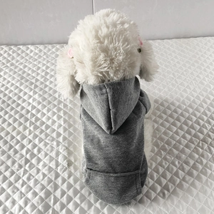 Close-up back view of a gray fleece pet hoodie on a white Bichon dog for spring or autumn