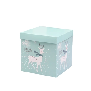 Mint green Christmas gift box featuring white reindeer patterns and snowflakes decor