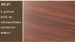 Détail de la texture cuir marron du portefeuille avec motif grain de bois et texte NO.01