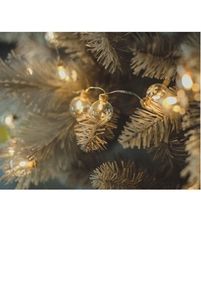 Macro view of LED snowflake fairy lights with warm yellow bulbs on white pine branches