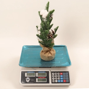 Mini Christmas tree with pine cones and burlap base shown on a weighing scale