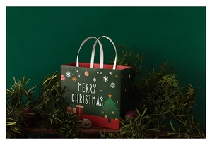 Detail of green Christmas paper gift bag with Merry Christmas text and festive patterns
