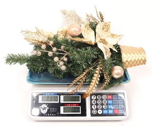 Detailed view showing a green Christmas tree plant with gold leaves being weighed on a scale