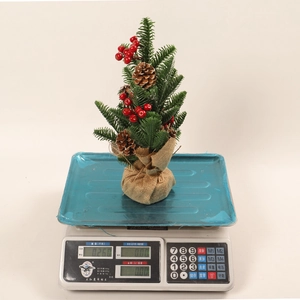 Detail view of mini Christmas tree with red berries on an electronic scale showing 0.260kg
