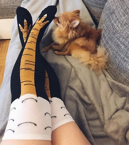Detail of creative chicken claw knee high socks worn in a cozy home setting with a dog