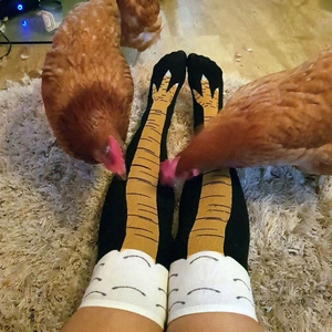 Funny chicken feet knee high socks with yellow claw pattern on black fabric
