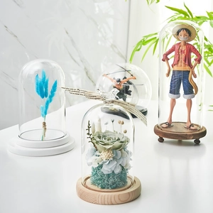 Transparent glass dome display case with wood base for figures and preserved flowers