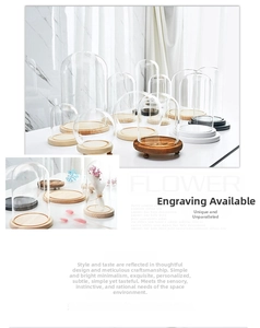 Close-up of clear bell jar glass display dome with various natural wood and black bases