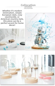 Clear glass cloche dome with wooden base in various sizes for collectibles and flowers