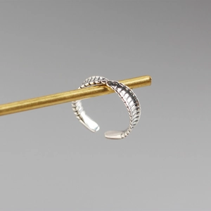Detailed view of S925 sterling silver Mobius ring featuring vintage feather texture