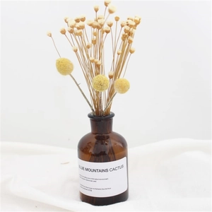 Close-up of dried flowers in a brown glass vase with minimalist ins style label