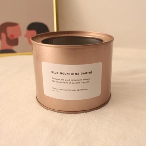 Rose gold cylindrical metal vase with English label for succulent plants and storage decor