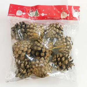 Lot de pommes de pin naturelles avec cordons dorés pour décoration de sapin et couronne