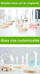 Clear glass display dome with round wooden base for collectibles and dried flowers