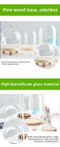 Detail of high borosilicate glass domes with natural pine wood bases for display