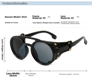 Retro steampunk sunglasses with round frame, leather side shields, and rivet details