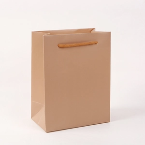 Detail of light brown blank paper gift bag with woven rope handles on white background