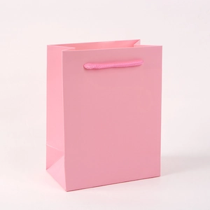Pink paper gift bag detail with matching woven rope handles against a soft beige wall