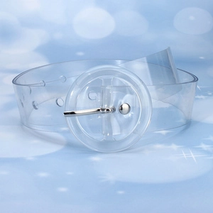 Macro detail of transparent PVC wide belt featuring a large round clear buckle and metal pin