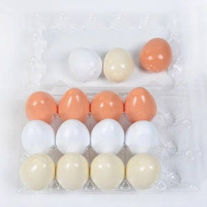 Detailed view of 15 realistic simulation egg toys in a transparent plastic egg carton tray