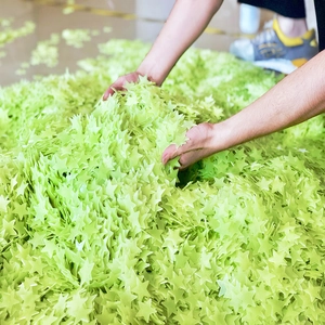 Bulk 3cm glow in the dark plastic stars for bedroom ceiling wall decoration