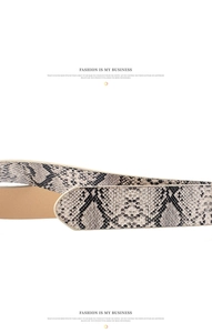 Macro shot of faux snake skin texture and stitching on fashion wide leather belt for women