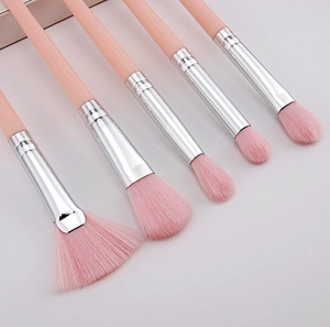 Close-up of 5 pink makeup brushes including fan and blush brush with silver ferrules
