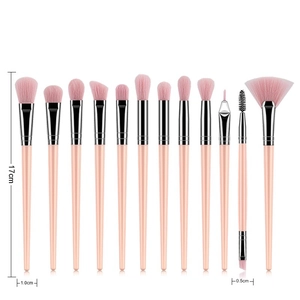 Detailed view of 12pcs pink makeup brush set with silver ferrules and size markings