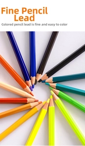 Macro shot of colorful hexagonal wooden pencils in a radial pattern on white background