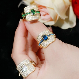 Detailed close-up of luxury gold plated rings with micro-pave zircon on hand with roses