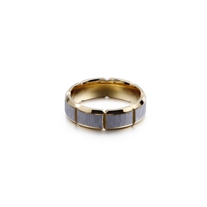 Minimalist brushed stainless steel couple ring with gold edges on white background