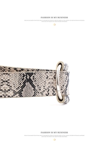 Close-up of snakeskin pattern leather belt with minimalist silver circular metal buckle