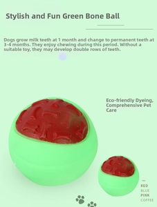 Detail of durable rubber dog chew ball with textured bone patterns and colorful options