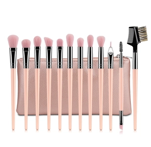 Pink 12pcs makeup brush set with silver ferrules and a matching pink leather pouch