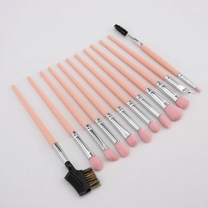 Detailed overhead layout of 13 professional pink makeup brushes with silver ferrules