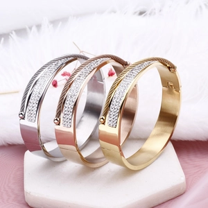 Stainless Steel Bangle Bracelet For Women Pavé Zircon Cable Wire Inlaid Fashion Luxury Hinged Cuff Accessory
