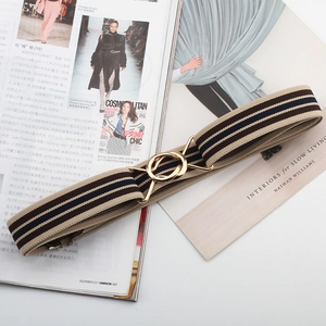 Detailed texture of striped elastic canvas belt with gold double-ring metal buckle
