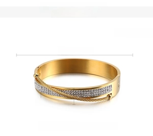 Detail view of gold stainless steel bangle with double-row cubic zirconia and wire accent