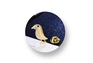 Detailed view of a cream shell bird brooch with gold metal beak and secure clutch back