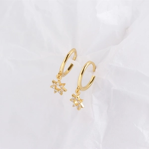 Detail of gold S925 silver star hoop earrings with clear diamonds on white paper
