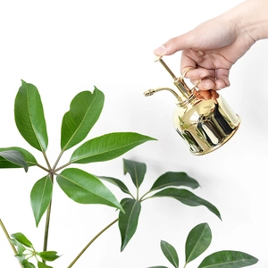Close-up of golden stainless steel mist sprayer watering green plants in a bright setting
