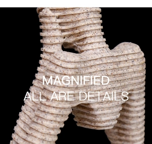 Vista macro de figurilla abstracta de arenisca con textura en capas y detalles granulosos