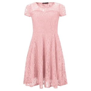 Elegant pink lace mini dress with short sleeves, round neck and floral embroidery detail