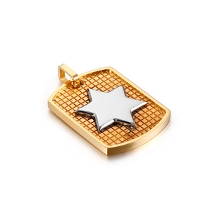 Golden rectangular shield pendant with grid texture and silver star on white background